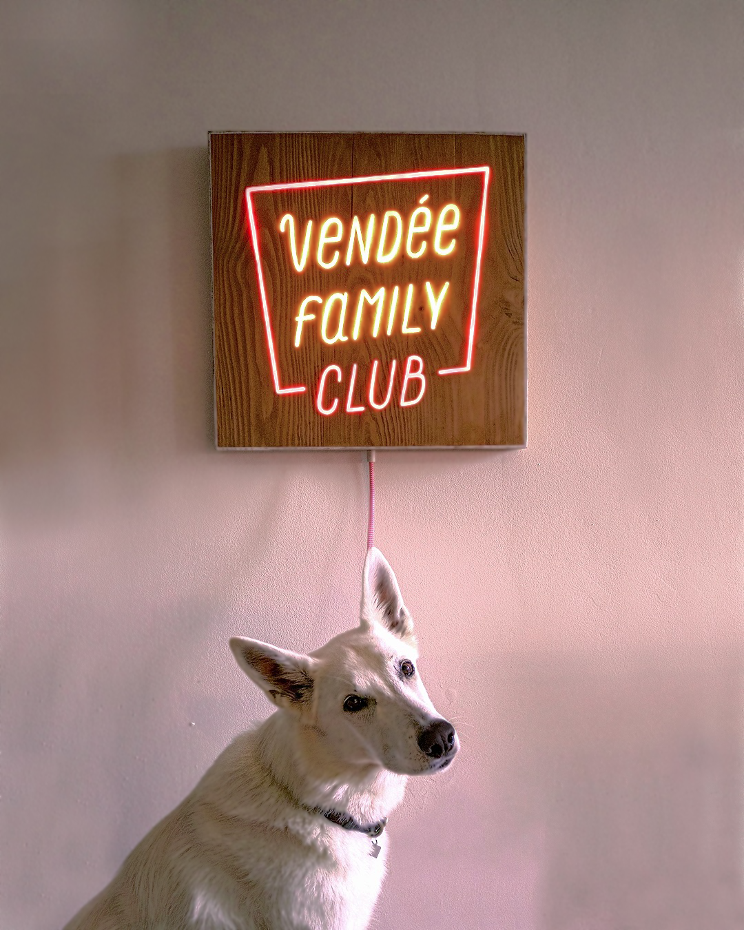 neon-bois-massif-recycle-allume-interieur-la-vie-est-une-fete-commande-personnalisee-hypsolite_05